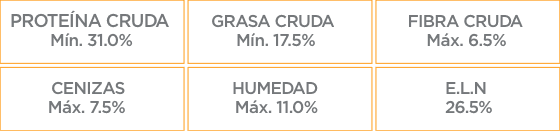 Análisis Garantizado