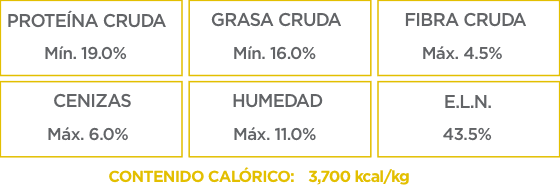 Análisis Garantizado