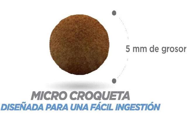 Croqueta