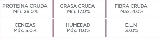 Análisis Garantizado