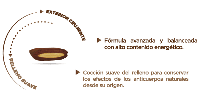 Croqueta